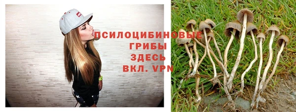 твердый Алзамай